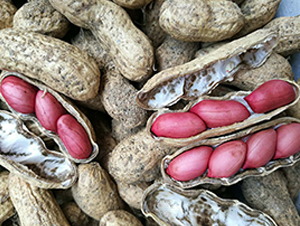 ���׼t-�����N��-�w���r(n��ng)�I(y��)