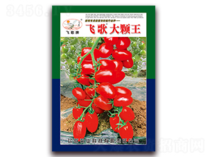 �w����w��-���ѷN��-�w���r(n��ng)�I(y��)