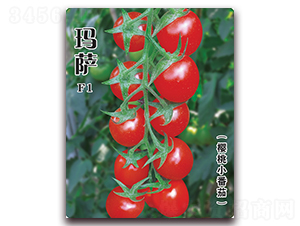 ���_-���ѷN��-�w���r�I(y��)