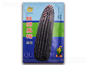 ��Դ��Ŵ-��Ŵ���׷N��-���R�_Ԫ