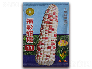 ������Ŵ11-���׷N��-���R�_Ԫ