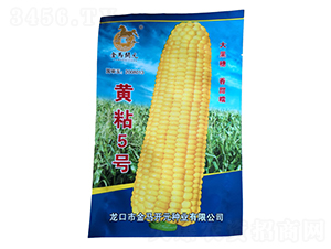 �Sճ5̖(h��o)-���׷N��-���R�_(k��i)Ԫ