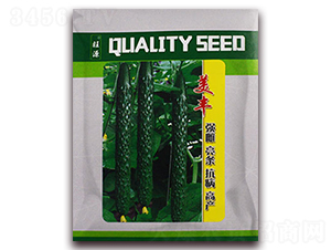 ���S-�S�ϷN��-���R�_Ԫ