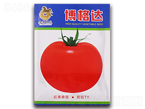 �����_(d��)-�t�����ѷN��-���R�_Ԫ