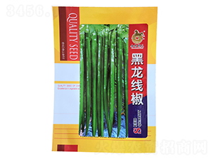 黑龍線椒-線椒種子-金馬開元