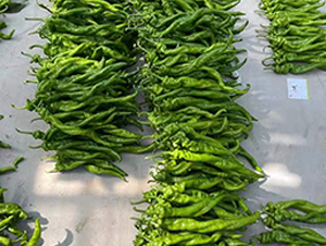 �M(j��n)���ݽz���N��-���R�_Ԫ