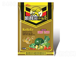 �_ʩ��-�P����