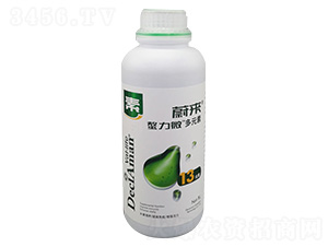 ��������13Ԫ��-ε��-�����P�r