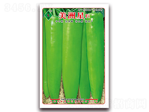 ������-�⽷�N��-ʒ�\