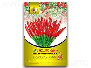 ������̖-���콷�N��-ʒ�\