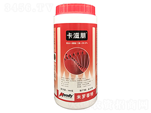 ������-��(y��u)��˼