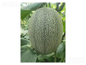 ���m�ܴ��25-��ϷN��-��V�r(n��ng)�I(y��)