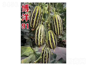 ����91-��ϷN��-��V�r(n��ng)�I(y��)