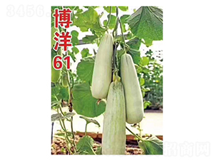 ����61-��ϷN��-��V�r(n��ng)�I(y��)