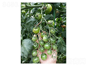 �Gɫ���ҷ���-���ѷN��-��V�r(n��ng)�I(y��)