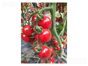 ��ɽ88-���ѷN��-��V�r(n��ng)�I(y��)