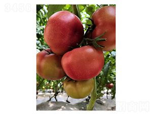 ��۷�-5-���ѷN��-��V�r(n��ng)�I(y��)