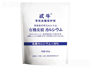 �ЙC(j��)ƤĤ���o(h��)��-߯ţ-�A��