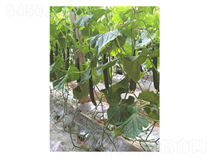 ������79-�S�ϷN��-��V�r(n��ng)�I(y��)