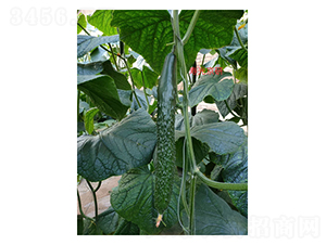 ����2016-�S�ϷN��-��V�r(n��ng)�I(y��)