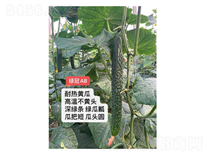 �G��A8-�S�ϷN��-��V�r(n��ng)�I(y��)