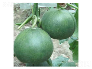 �������-��ϷN��-���؈@ˇ