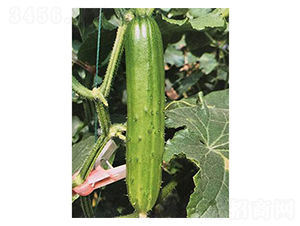 ˮ���S��-�S�ϷN��-�֮���r(n��ng)�I(y��)