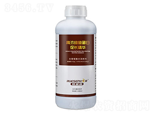 �ߝ�s�~���״��L���A-����������