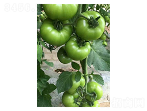 �W��308-���ѷN��-��ϲ�r(n��ng)�I(y��)