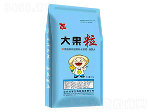 海藻有機(jī)硅顆粒水溶肥-大果粒-龍基