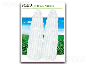 Ŵ����-��Ŵ���׷N��-������