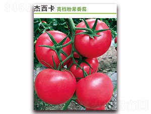 ������-���ѷN��-������