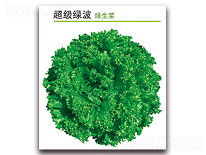 ����(j��)�G��-���˷N��-������