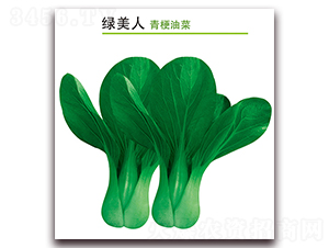 �G����-�๣�˷N��-������