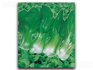 ����(j��)�Ϻ���-�๣�˷N��-������