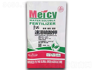 ���������-�����o(j��)�ʘI(y��)