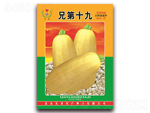 �ֵ�ʮ��-���������J�N��-�ֵ�