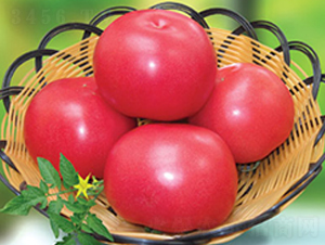 �ݷ۶�̖(h��o)����-���ѷN��-�M��N��