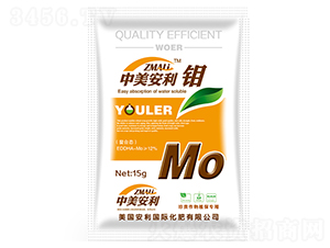 ���������f-�֠��ʘI(y��)