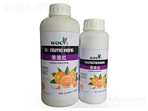 ��̼ø����sֲ��I(y��ng)�B(y��ng)¶-�����t-�֠��ʘI(y��)