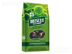 ΢�������-���h�z-̩������