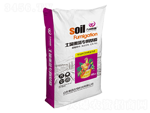 ����Ѭ���û��|(zh��)-̩������