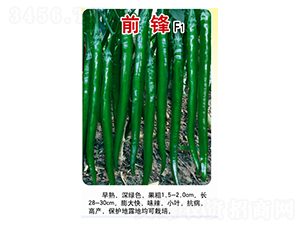 前鋒-線椒種子-農(nóng)百萬