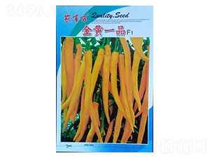 金黃一品-線椒種子-農(nóng)百萬