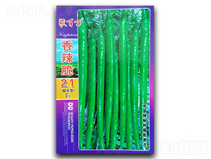 香辣脆21號-線椒種子-農(nóng)百萬