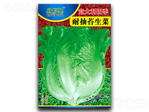 ������ļ��ͳ�̦-���˷N��-���Y�N�I(y��)