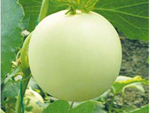 ����һ̖-��ϷN��-�A�S�N�I(y��)