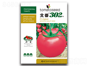 ����302-���ѷN��-�A�S�N�I(y��)