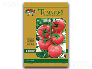 ����301-���ѷN��-�A�S�N�I(y��)