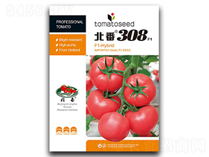 ����308-���ѷN��-�A�S�N�I(y��)